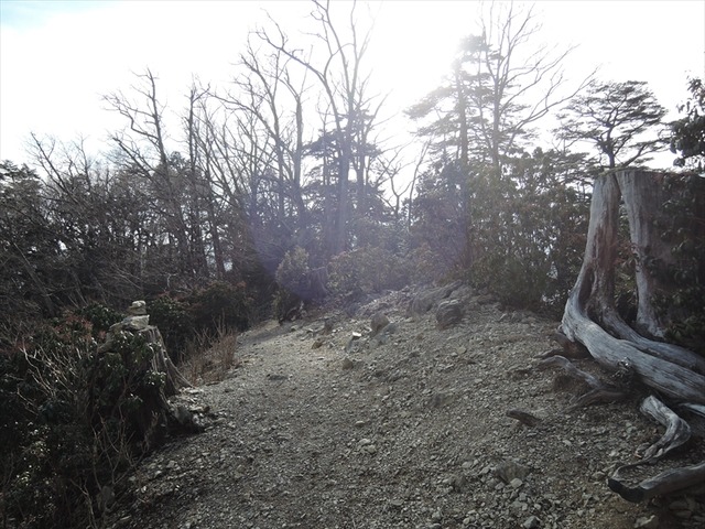 DSCN3636_R