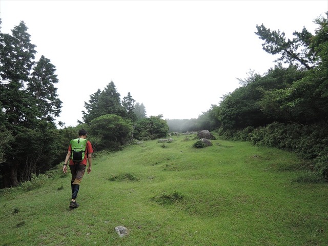 DSCN7918_R