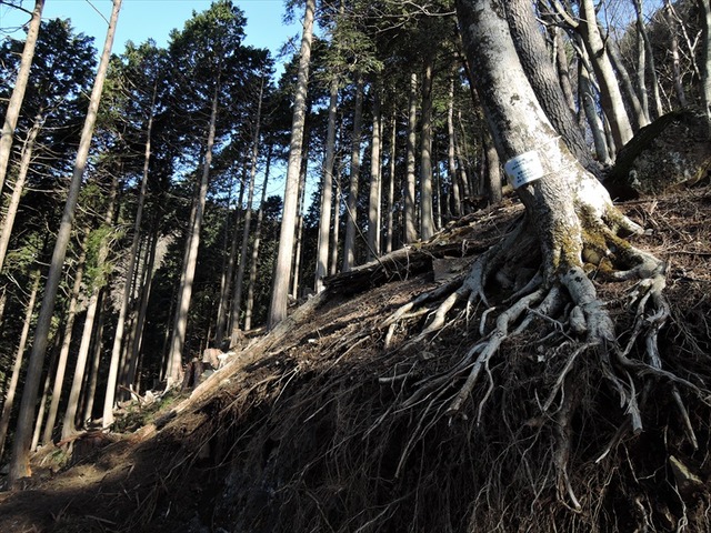 DSCN4547_R