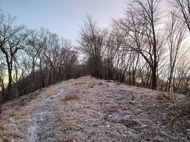 20201206_064848_R