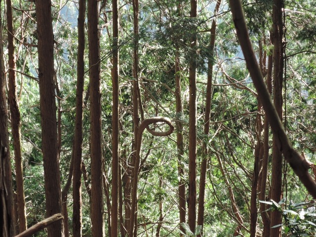 DSCN3248_R