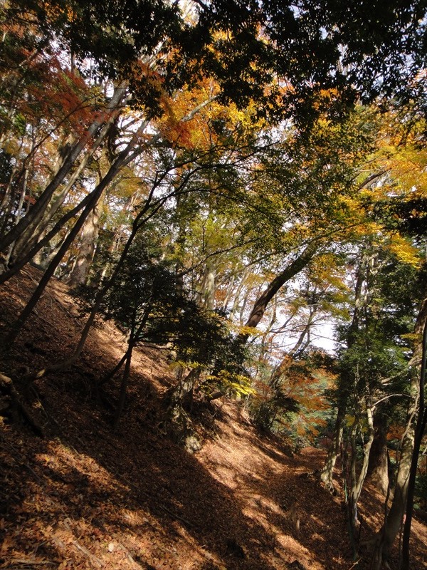 DSC09975_R