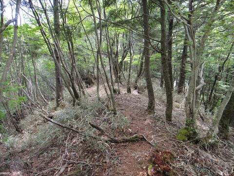 DSC07781_R