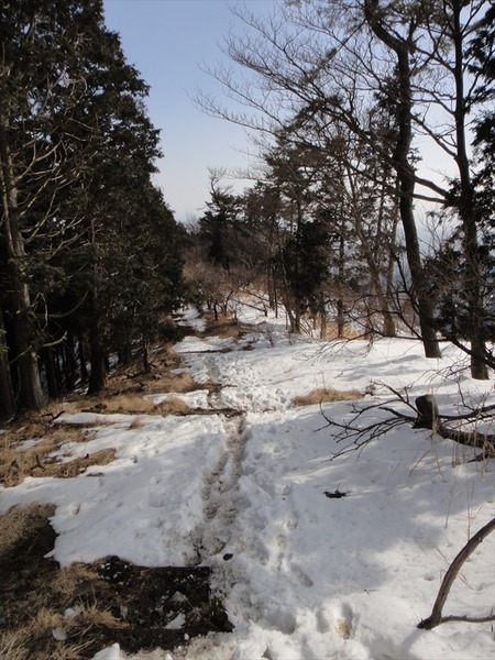 DSC06449_R
