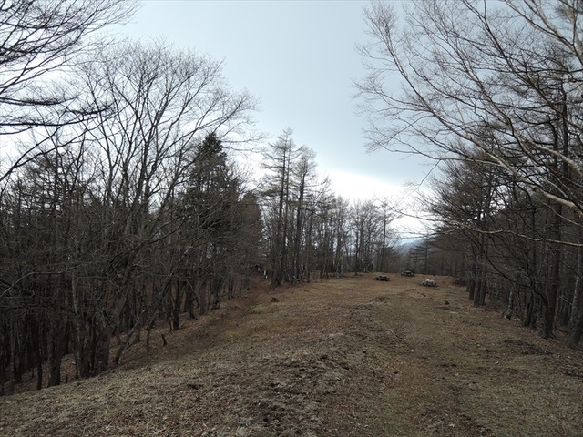 DSCN1406_R