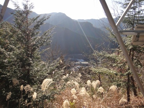 DSC06348