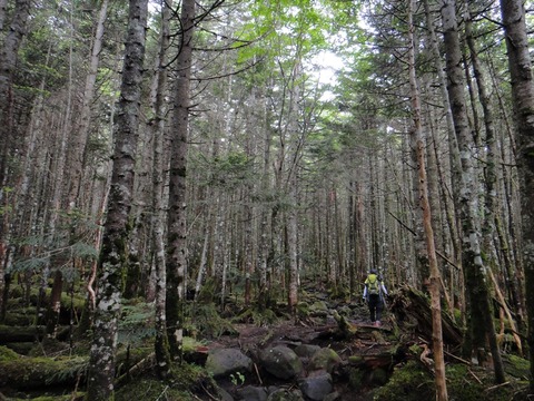 DSC08218_R