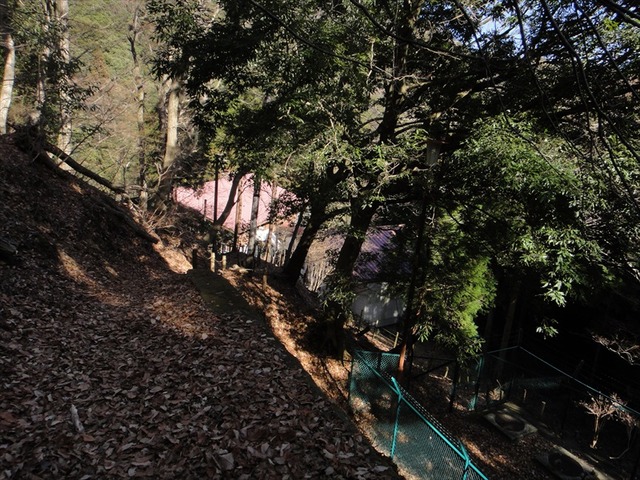 DSC00936_R