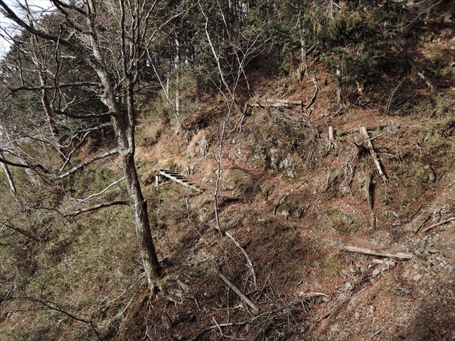 DSCN9315_R