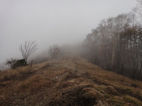DSC05606