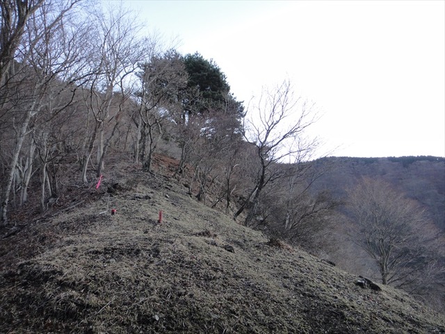 DSC01082_R