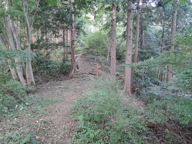 DSCN3249_R