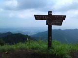 710815d2.jpg