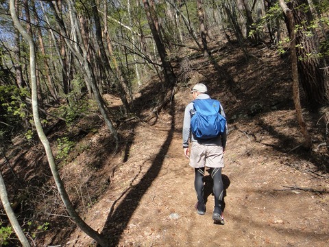 DSC07238_R