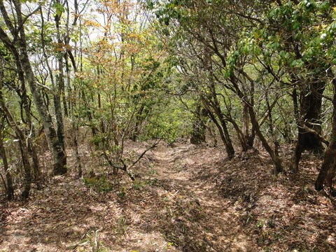 DSC07419_R