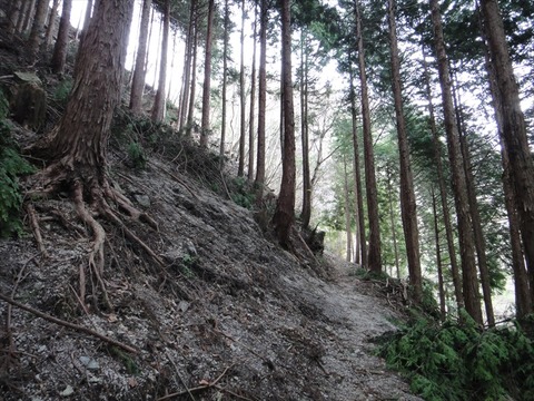 DSC07017_R