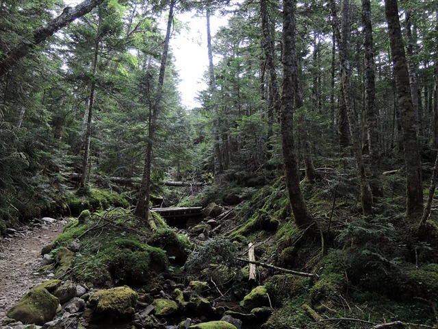 DSCN2530_R