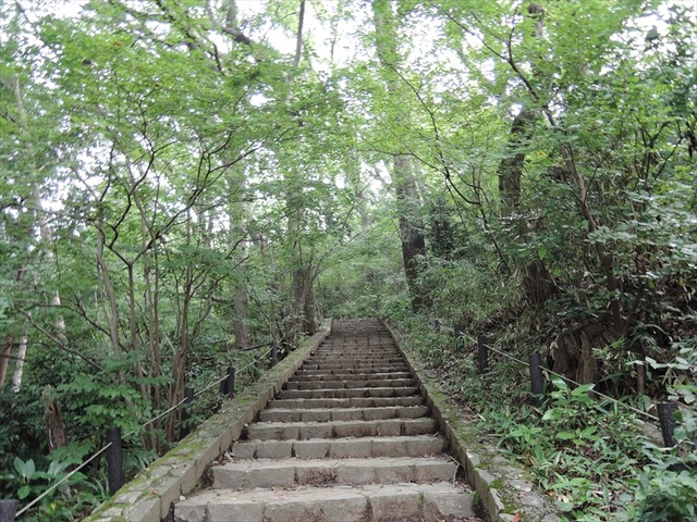 DSCN3287_R