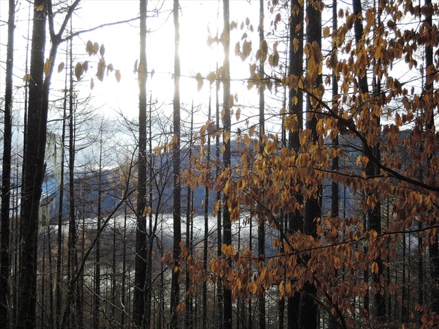 DSCN3338_R