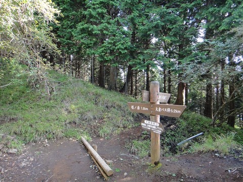 DSC05301