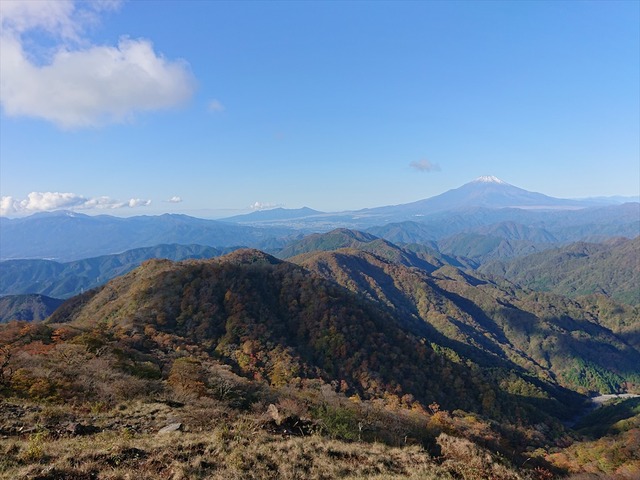 DSC_4116_R