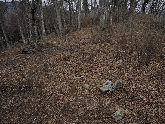 DSCN0775_R