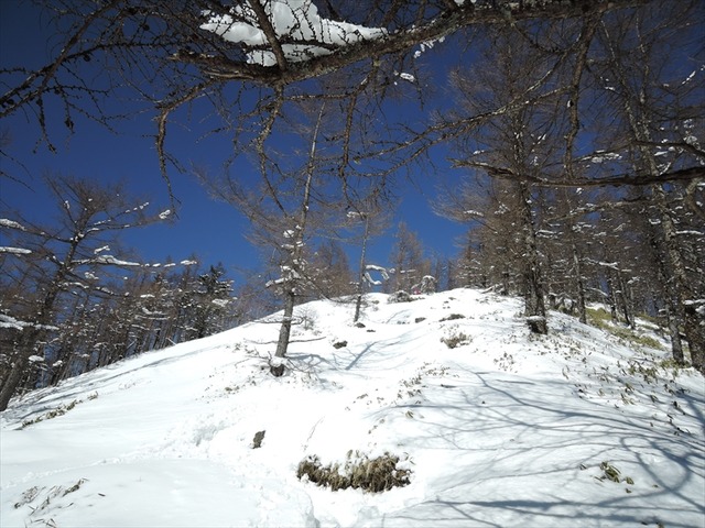 DSCN9678_R