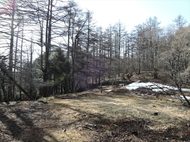 DSCN0578_R