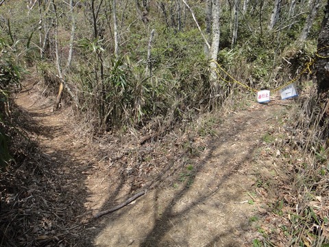 DSC07555_R