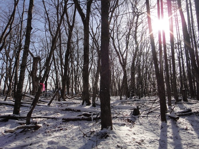 DSC00331_R