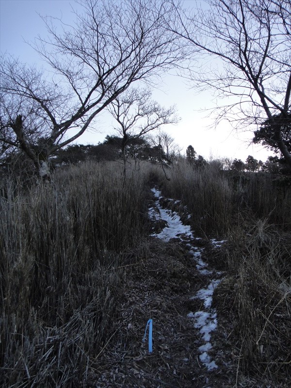 DSC01108_R