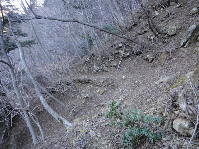 DSC00861_R