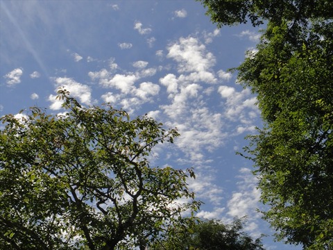 DSC09016_R
