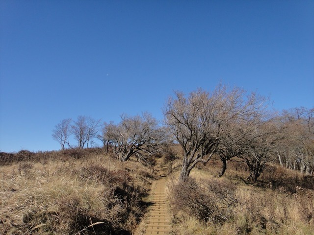 DSC09679_R