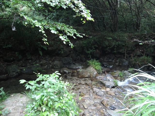 DSCN9933_R