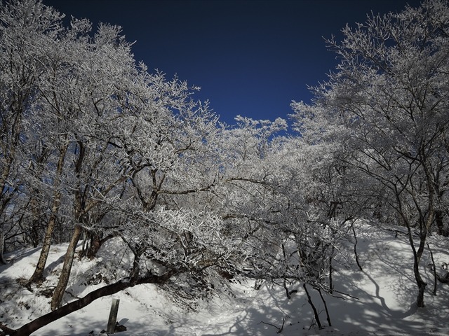 DSCN3780_R