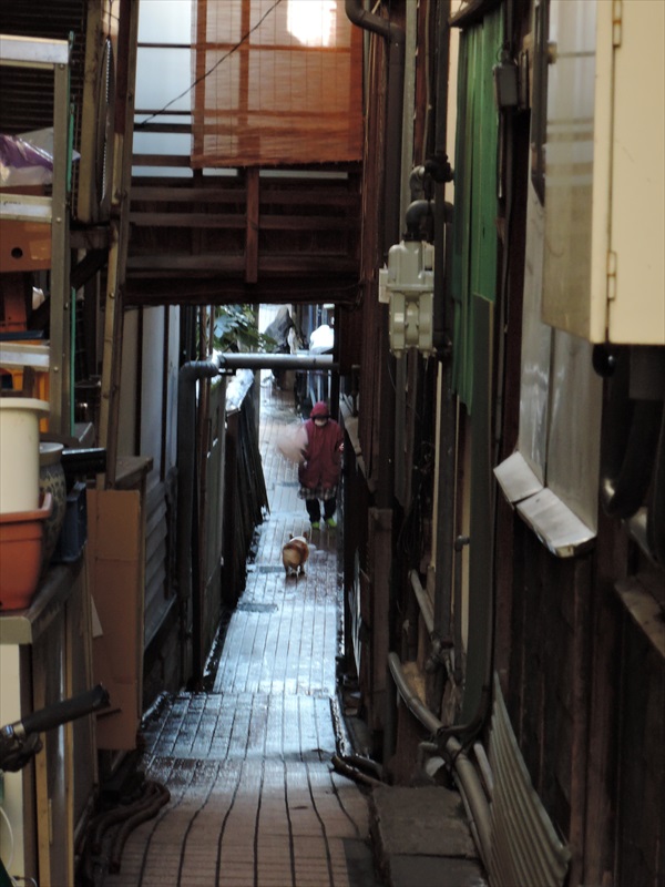 DSCN4444_R