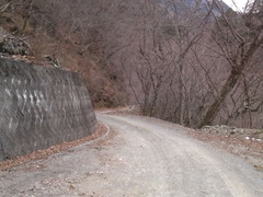 7f08a4d8.jpg