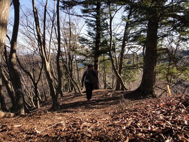 DSC00874_R