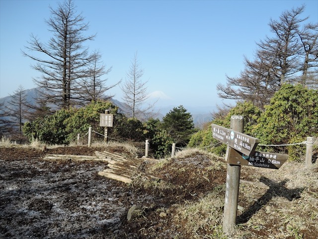DSCN0571_R