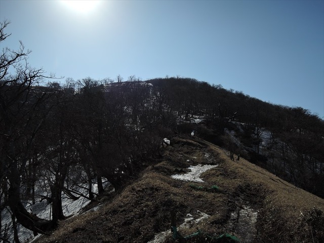 DSCN0604_R