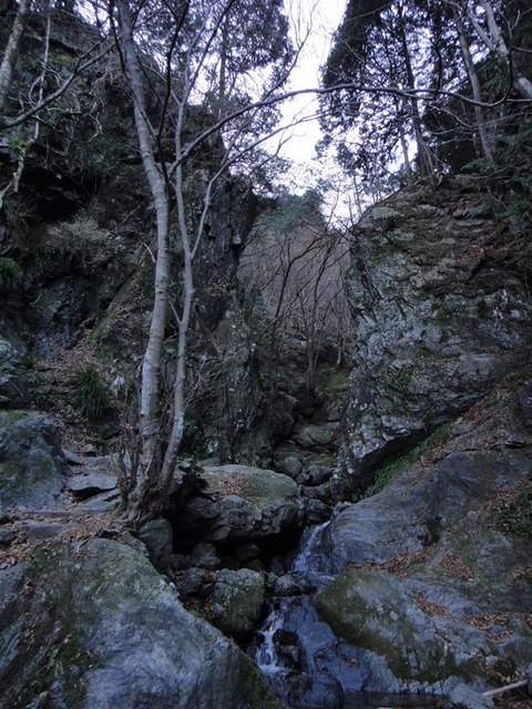 DSC06276