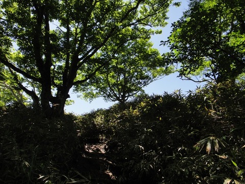 DSC07741_R