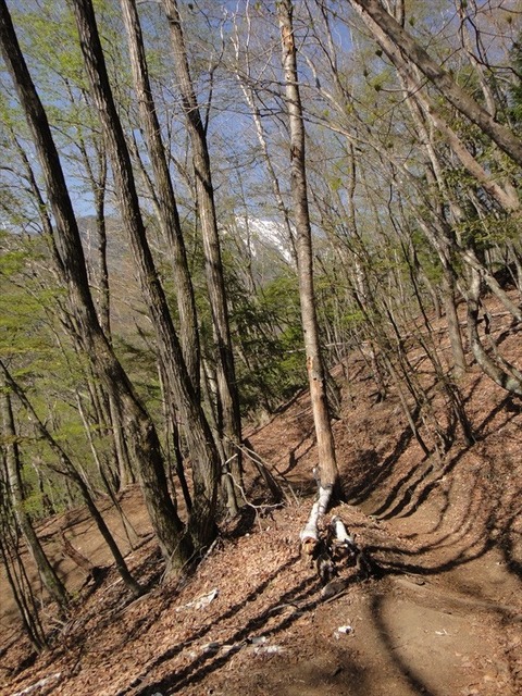 DSC07244_R