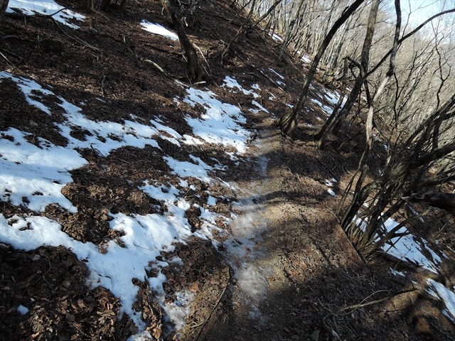DSCN3974_R