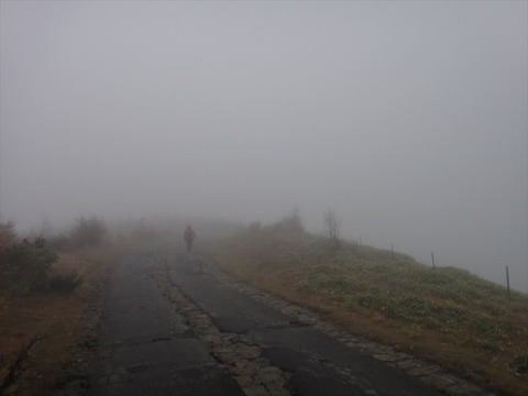 DSC09599_R