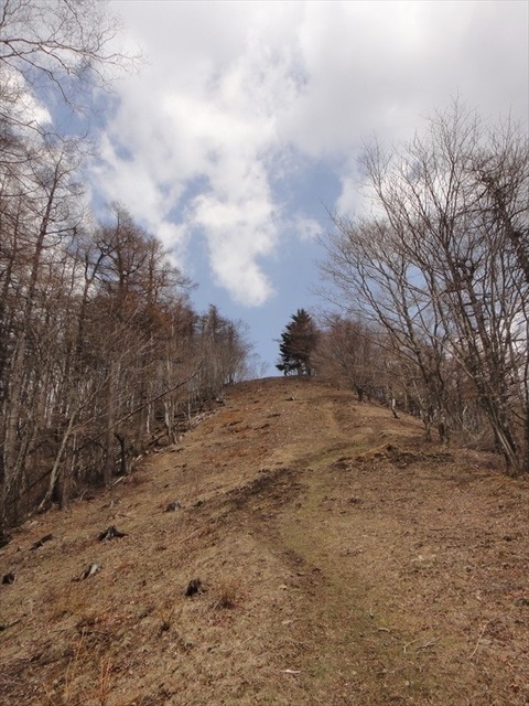 DSC07101_R