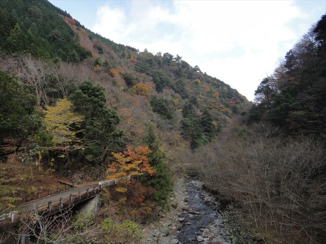 DSC09987_R