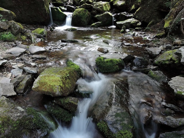 DSCN2533_R