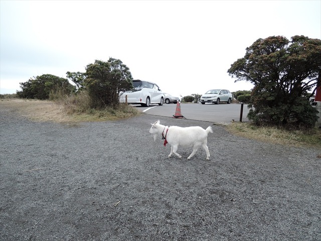 DSCN4741_R